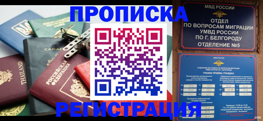 временная регистрация недорого в Партизанске
